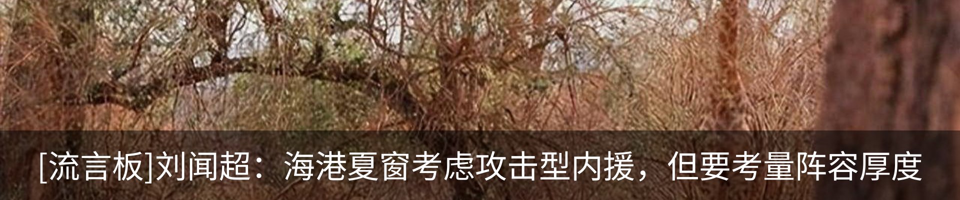 热点资讯